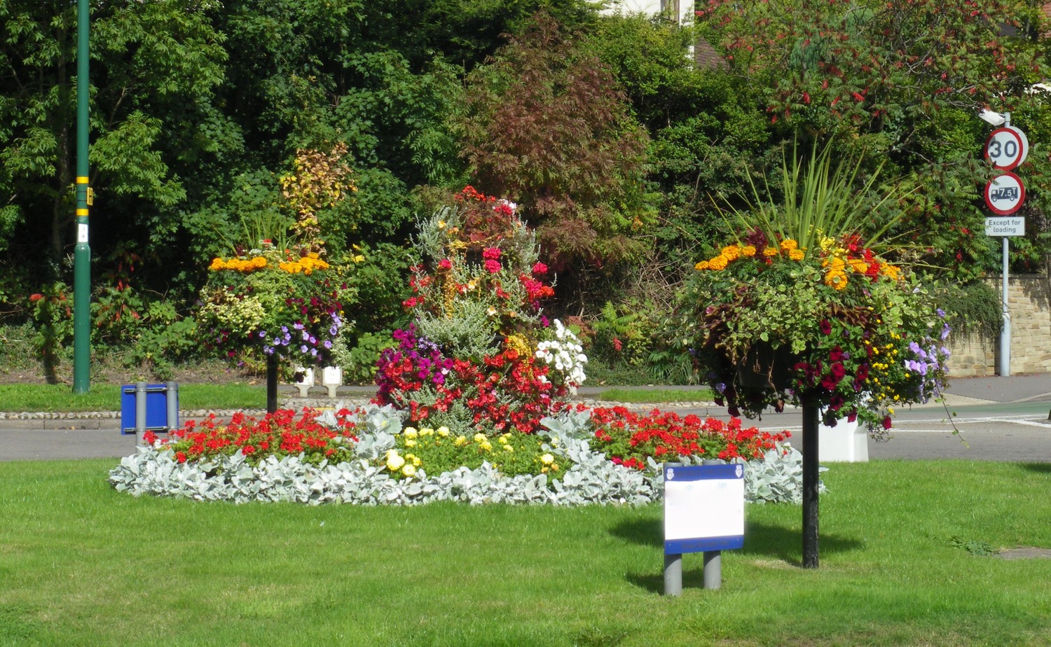 Photo of a roundabout with floral features
