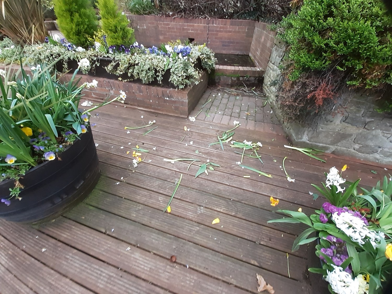 Damage to floral planters in the Dingle